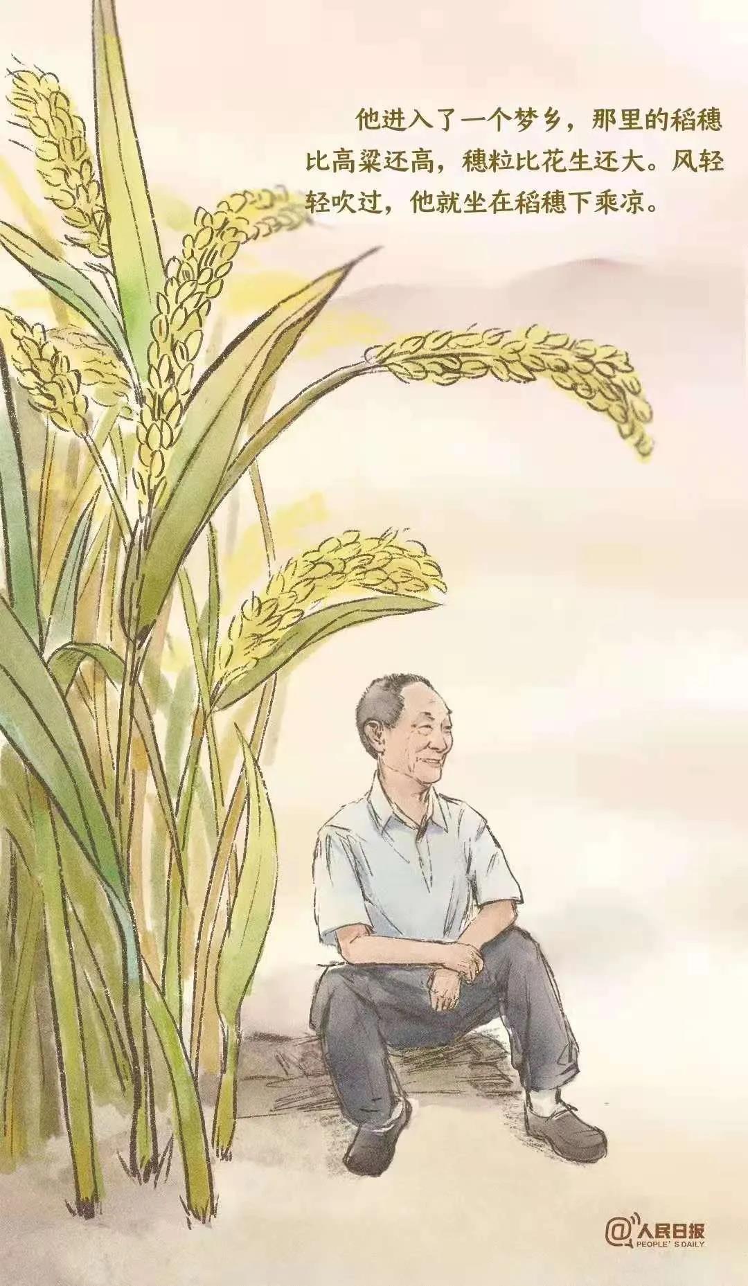 一稻济世 万家粮足 | 宝山技校师生深切悼念送别袁隆平院士