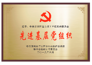2019年-坪山区两新组织先进基层党组织-中共深圳市坪山区非公有制经济组织和社会组织工作委员会