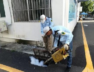 学校开展预防“登革热”知识讲座
