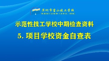 建设项目资金自查表