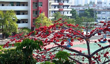 绿意盎然，花香四溢︱探秘宝山技校春日盛景