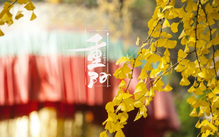 今日重阳 | 九九重阳 久久相伴