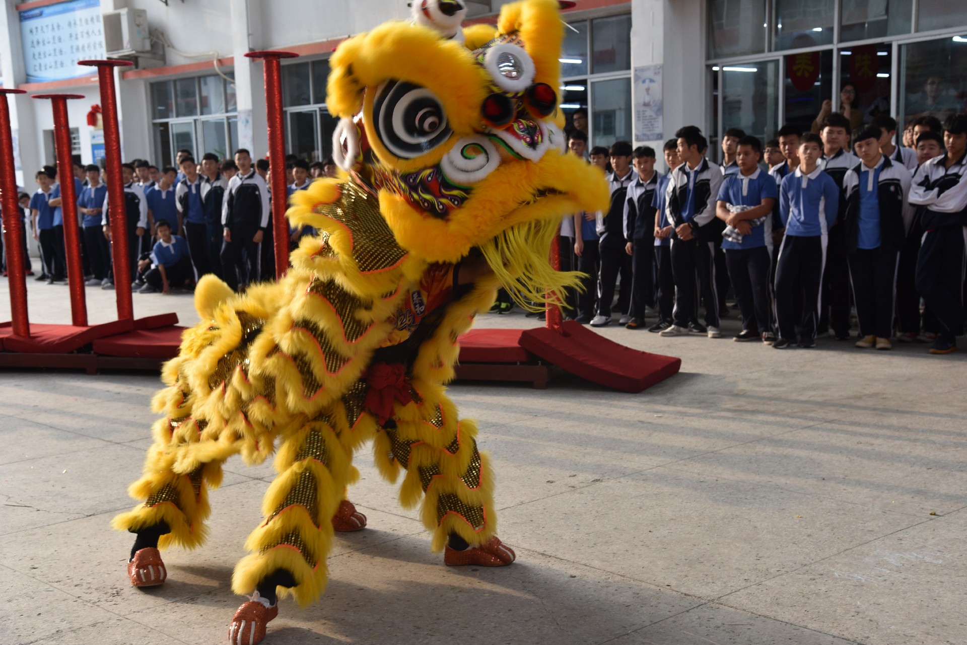 龙狮社团.JPG