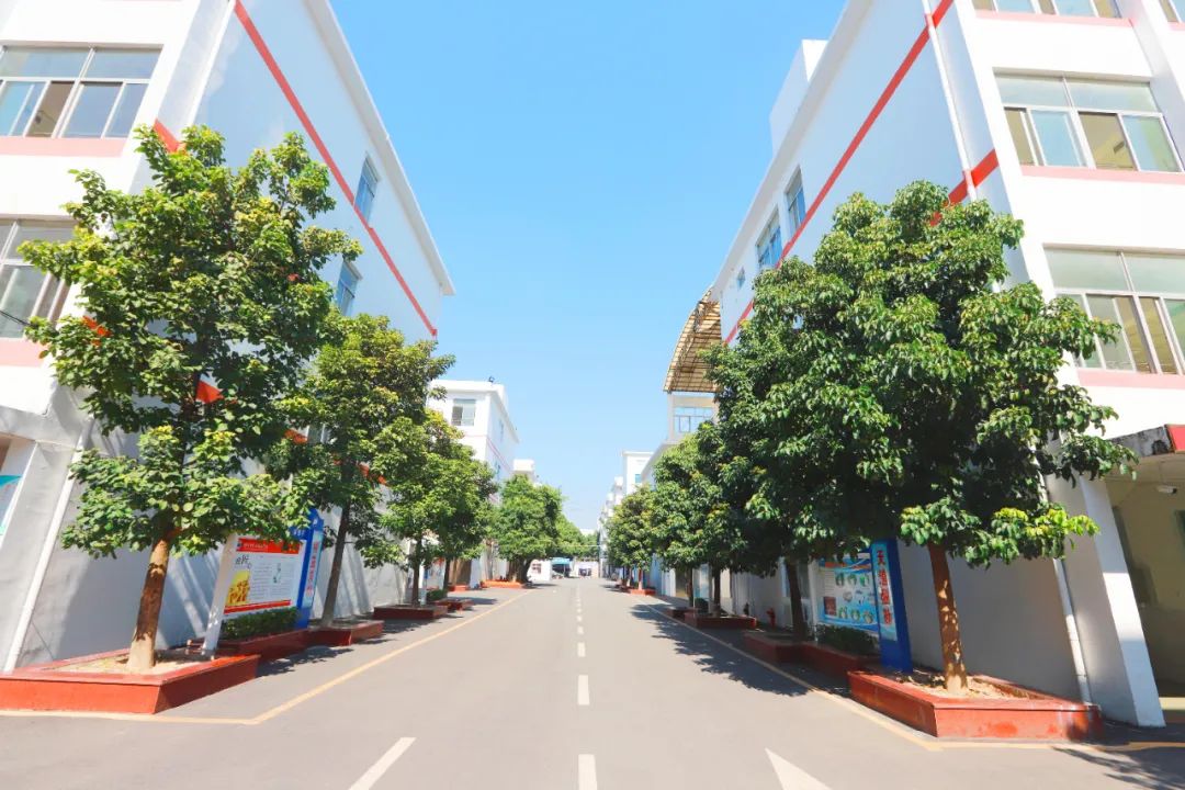 技校生会被社会认可吗？